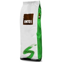 Кофе в зернах INTO Caffe Evrico 1 кг