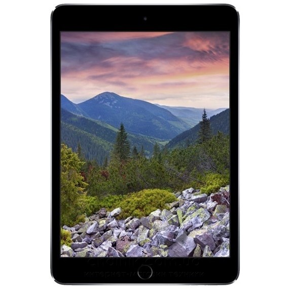 Планшет APPLE A1550 iPad mini 4 Wi-Fi 4G 16GB Space Gray (MK6Y2RK/A) 